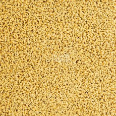 Ковровая плитка Interface Human Nature 830 608002 Maize фото 1 | FLOORDEALER