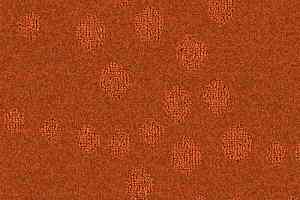 Ковролин Balsan Calanques 451 фото  | FLOORDEALER