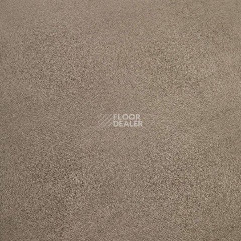Condor Stockholm 492 фото 15 | FLOORDEALER