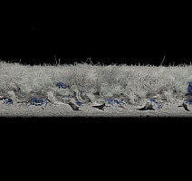 ColorKey ColorKey a 08 фото 3 | FLOORDEALER