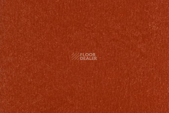 Forbo Marmoleum Solid Walton 3352-335235 Berlin red фото 1 | FLOORDEALER