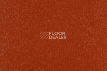 Линолеум Forbo Marmoleum Solid Walton 3352-335235 Berlin red фото 1 | FLOORDEALER