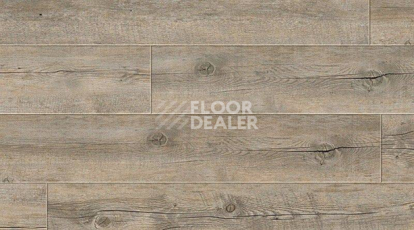 Кварцвиниловые полы Gerflor Creation 30 Clic 0490_boogie фото 1 | FLOORDEALER
