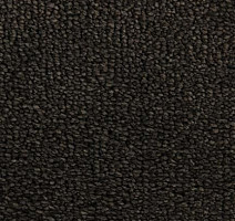 Ковролин Edel Tamino 173 фото 1 | FLOORDEALER