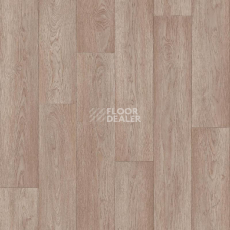 Линолеум Tarkett Absolut JASPER_1 фото 1 | FLOORDEALER