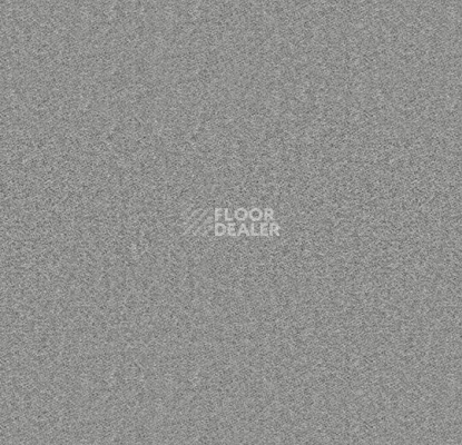 Ковролин Forbo Showtime Nuance 900220 фото 1 | FLOORDEALER