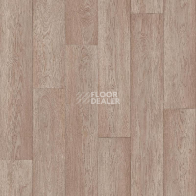 Линолеум Tarkett Absolut JASPER_1 фото 1 | FLOORDEALER