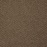 Lano Carve Classic 261 Camel фото 1 | FLOORDEALER