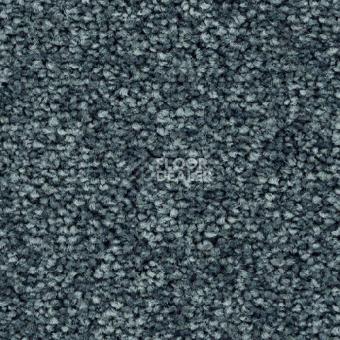 Ковролин Balsan First Class 940 фото 1 | FLOORDEALER