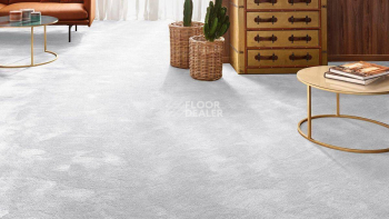 Vorwerk Exclusive 1060 Safira 5x58 фото 2 | FLOORDEALER