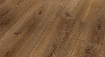 Ламинат Parador Trendtime 6 1567473 Дуб Монтана Отбеленный фото 1 | FLOORDEALER