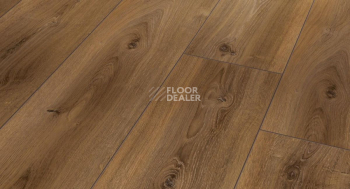 Ламинат Parador Trendtime 6 1567473 Дуб Монтана Отбеленный фото 1 | FLOORDEALER