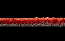 Balsan Stoneage 560 фото 3 | FLOORDEALER