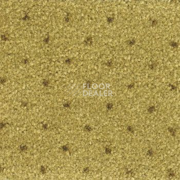 Ковролин Ambassador Associated Weavers 32 фото 1 | FLOORDEALER