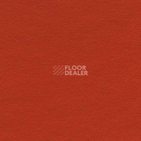 Ковролин Finett Feinwerk 503502 фото 1 | FLOORDEALER