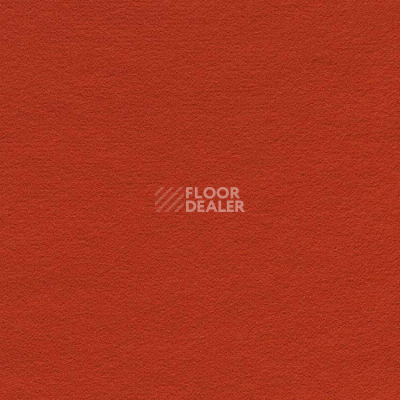 Ковролин Finett Feinwerk 503502 фото 1 | FLOORDEALER