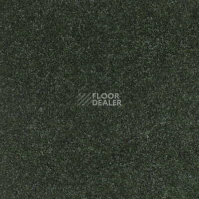 Ковролин Big Real Chevy 6651 фото 1 | FLOORDEALER