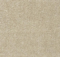 Ковролин Vorwerk Passion 1004 Vorwerk  j02 фото 1 | FLOORDEALER