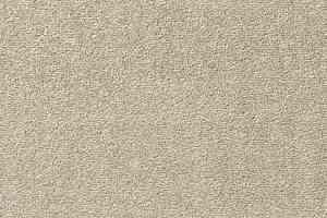 Ковролин Vorwerk Passion 1004 Vorwerk  j02 фото  | FLOORDEALER