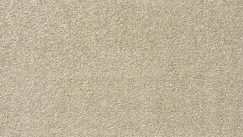 Ковролин Vorwerk Passion 1004 Vorwerk  j02 фото 1 | FLOORDEALER