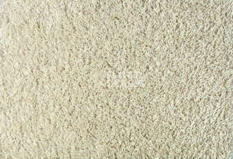 Ковролин Balta Euphoria 640 фото 1 | FLOORDEALER