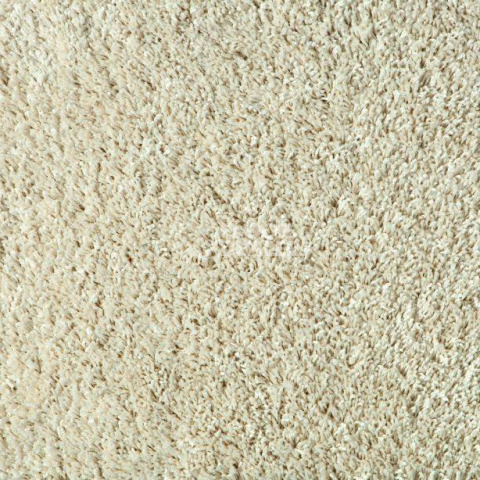 Ковролин Balta Euphoria 640 фото 1 | FLOORDEALER