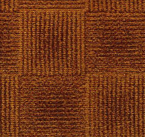 Ковролин Condor Carpets Amazon 220 фото 1 | FLOORDEALER