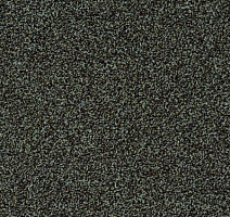 Ковролин Desso Torso-Brlm 4021 фото 1 | FLOORDEALER