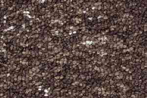 Ковровая плитка Balsan Nexus Sonic Confort 770 фото  | FLOORDEALER