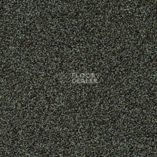 Ковролин Desso Torso-Brlm 4021 фото 1 | FLOORDEALER