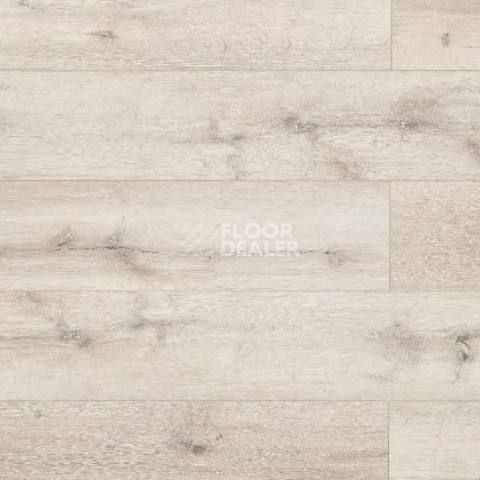 Кварцвиниловые полы Aquafloor Space AF4033SPC фото 1 | FLOORDEALER
