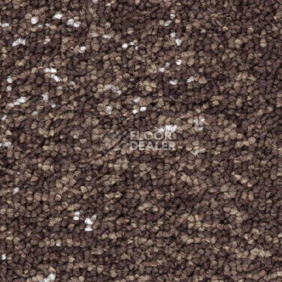 Ковровая плитка Balsan Nexus Sonic Confort 770 фото 1 | FLOORDEALER