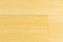 Линолеум Forbo SportLine Standart Fr 7603 фото 1 | FLOORDEALER