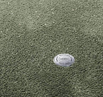 Ковролин Vorwerk Superior 1073 Vorwerk 4g80 фото 1 | FLOORDEALER