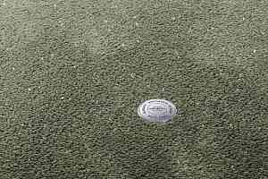 Ковролин Vorwerk Superior 1073 Vorwerk 4g80 фото  | FLOORDEALER