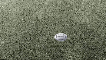 Ковролин Vorwerk Superior 1073 Vorwerk 4g80 фото 1 | FLOORDEALER