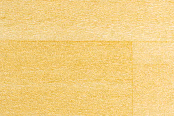 Линолеум Forbo SportLine Standart Fr 7603 фото 1 | FLOORDEALER