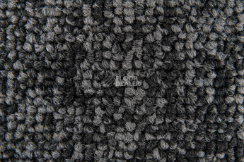 Standard Carpets Spectrum sm 579 фото 3 | FLOORDEALER