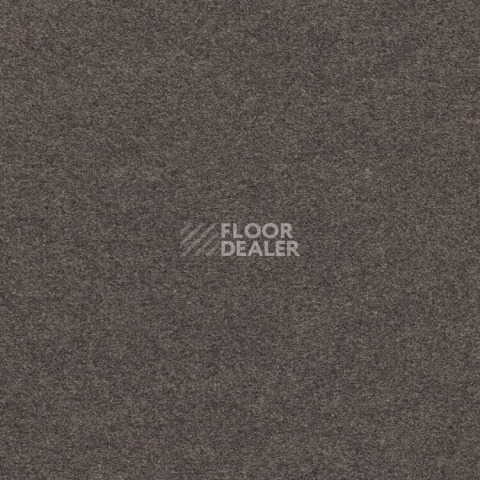 Ковролин Finett Feinwerk 403513 фото 1 | FLOORDEALER
