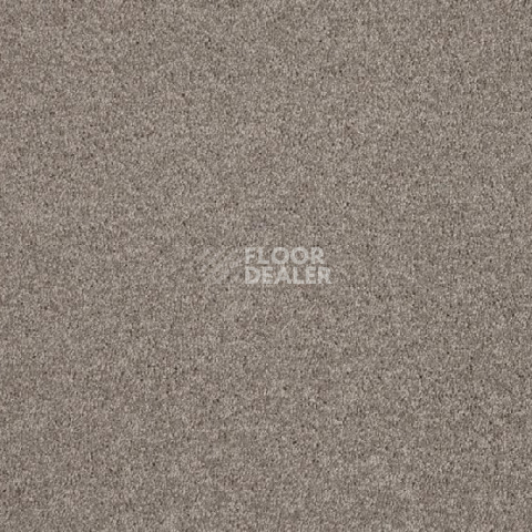Ковролин Lano Lounge 460 Hazelnut фото 1 | FLOORDEALER