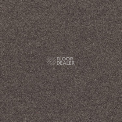 Ковролин Finett Feinwerk 403513 фото 1 | FLOORDEALER