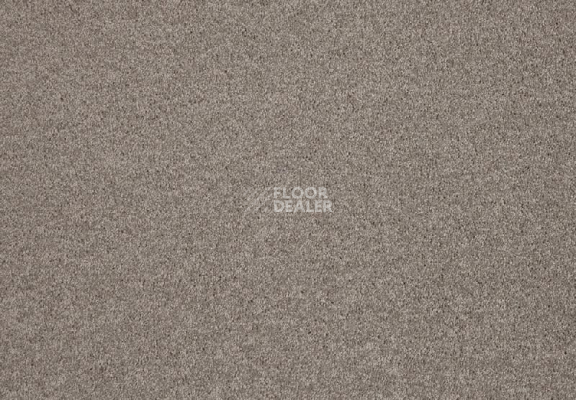 Ковролин Lano Lounge 460 Hazelnut фото 1 | FLOORDEALER