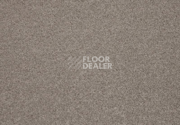 Ковролин Lano Lounge 460 Hazelnut фото 1 | FLOORDEALER