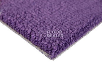 Balsan Les Best S 886 фото 4 | FLOORDEALER