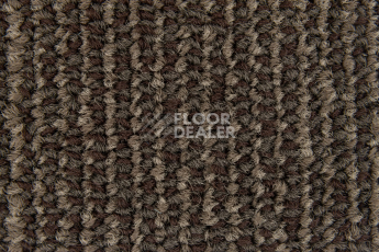 Escom Coral 5411 фото 3 | FLOORDEALER