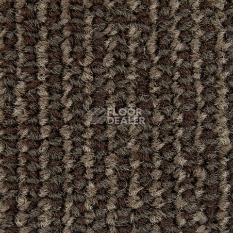 Escom Coral 5411 фото 3 | FLOORDEALER