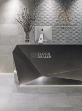 Mirage-Image 40x80 Mirage-Image Silver 40x80 фото 2 | FLOORDEALER