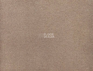 Ковролин Big Andorra 333 фото 1 | FLOORDEALER