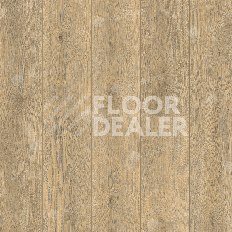 Кварцвиниловые полы Alpine Floor Solo Комодо ЕСО 14-7 фото 1 | FLOORDEALER