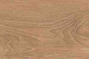 Керамогранит Cocoon 20 X 120 Joy фото  | FLOORDEALER